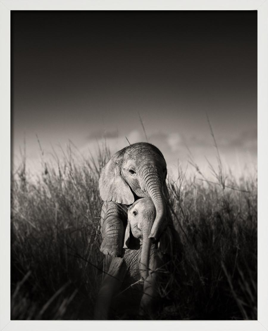 Wilde Elefanten-Babys beim Spielen – umgeben von Gras, Kunstfotografie, 2017 – Photograph von Joachim Schmeisser