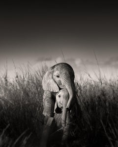 Wild Elephant Babies Playing - Surrounded by Grass, Fine Art Photography, 2017