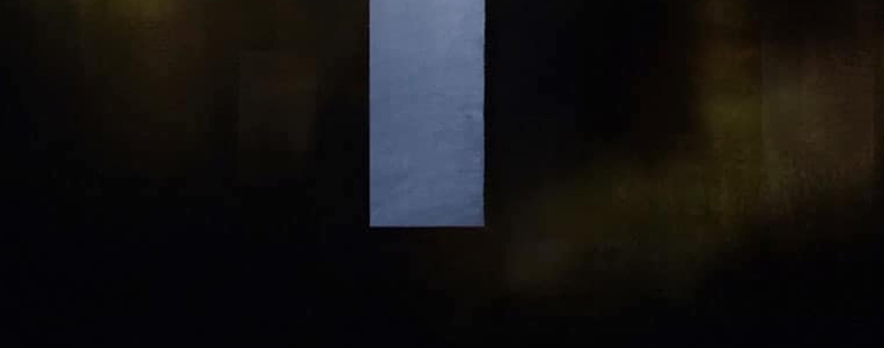 Balconies of the Sky II von Joachim van der Vlugt - Halbabstraktes Blumengemälde im Angebot 4