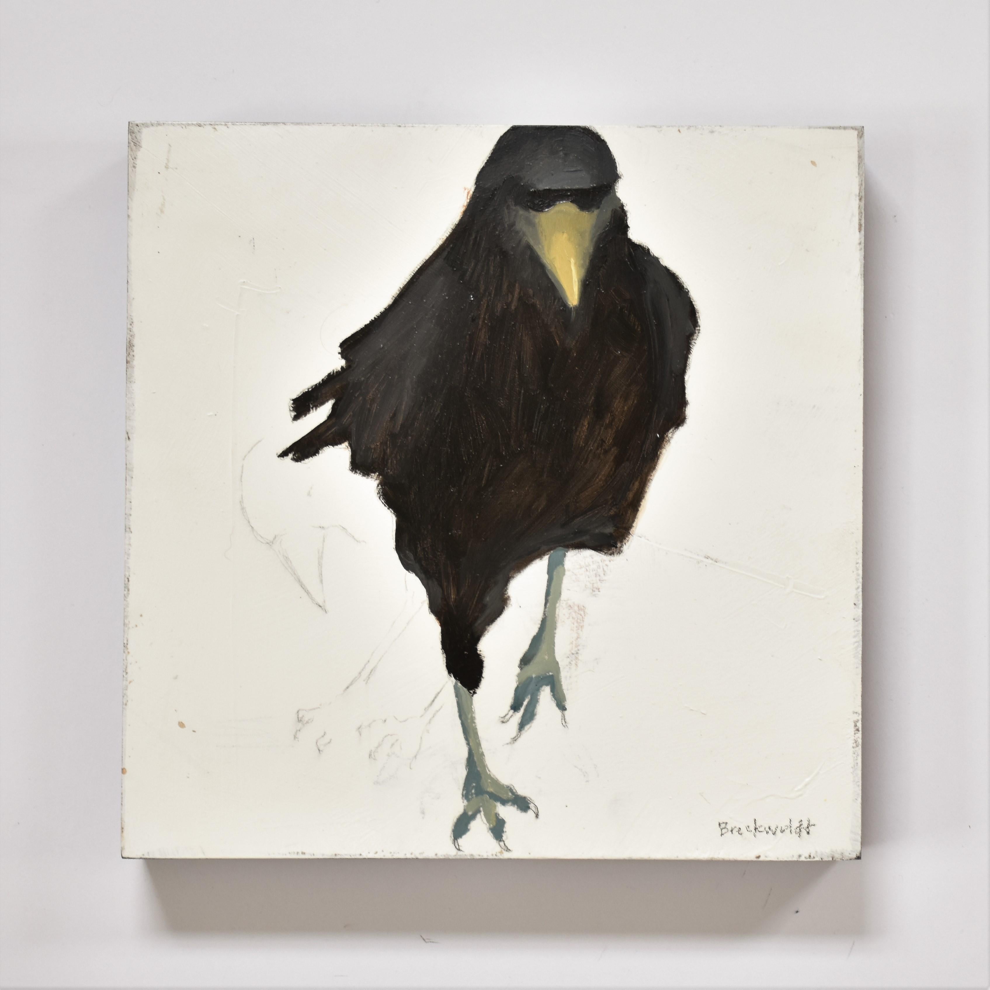texas raven
