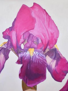 The Pink Iris (Iridaceous) Oil, 40 x 30, Floral Still-Life, American Artist