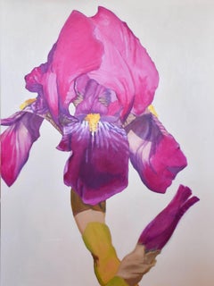 The Pink Iris (Iridaceous) Oil, 40 x 30, Floral Still-Life, American Artist