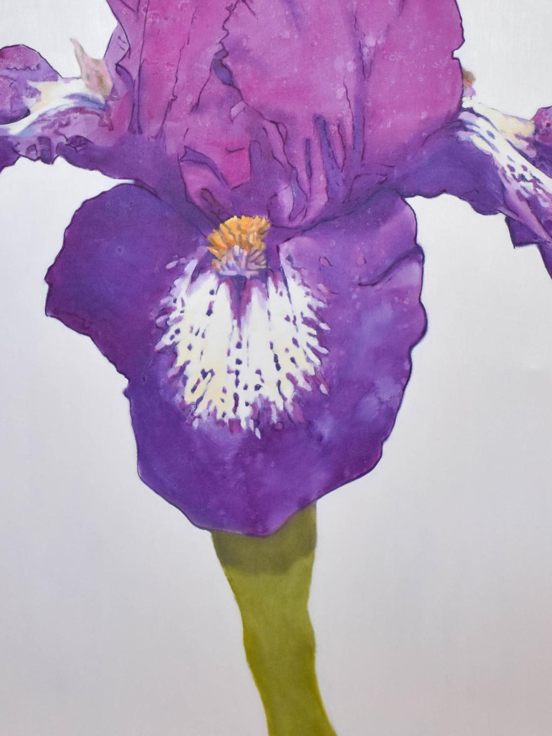 purple iris 3