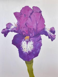 The Purple Iris, Oil Painting, Floral Painting, Still Life, Framed, American Art