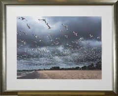 "Gabbiani del lago Michigan in volo #6", fotografia firmata da Joan Dvorsky