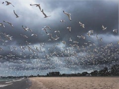 "Lake Michigan Seagulls In Flight #6, "Photography signed by Joan Dvorsky