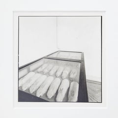Joan Fontcuberta - Conills de Mendel Photography, Gelatin Silver Bromide, 1980