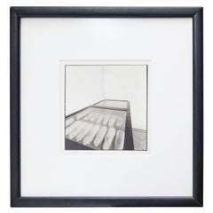 Joan Fontcuberta - Conills de Mendel Photography, Gelatin Silver Bromide, 1980