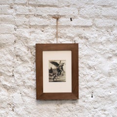 Joan Fontcuberta Framed Photograph from "Fauna Secreta" Collection - Surrealist