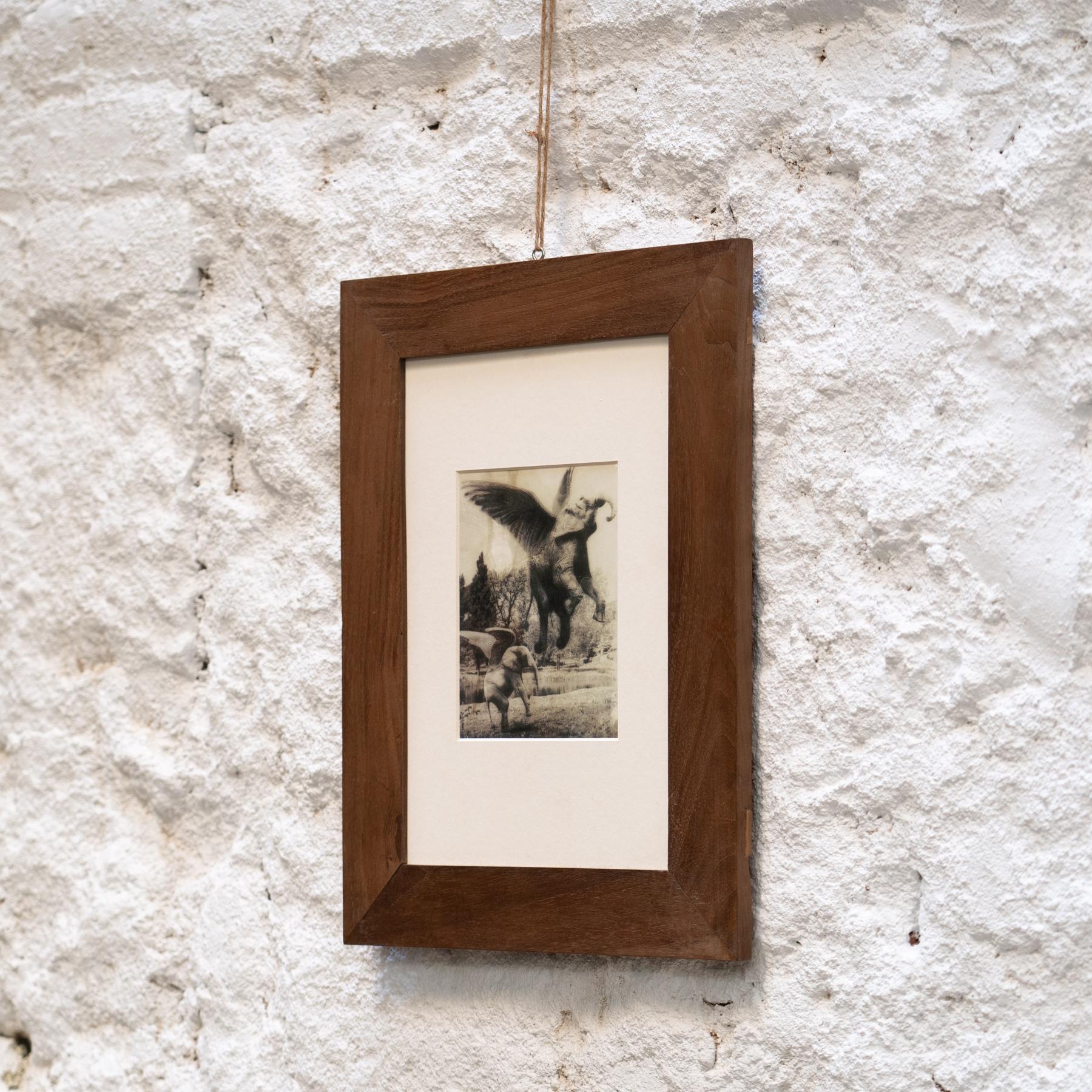 Joan Fontcuberta Gerahmte Fotografie aus der Kollektion „Fauna Secreta“ – Surrealistische Fotografie im Zustand „Gut“ im Angebot in Barcelona, Barcelona