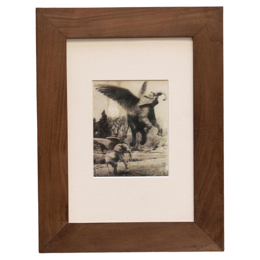 Joan Fontcuberta Gerahmte Fotografie aus der Kollektion „Fauna Secreta“ – Surrealistische Fotografie