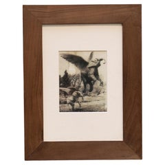 Joan Fontcuberta Photographie encadrée de la collection "Fauna Secreta" - Surrealist