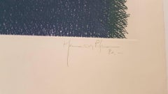 Gestuale, astratto, composizione (Composición, in verde/blu)  Spagna, Catalogna)