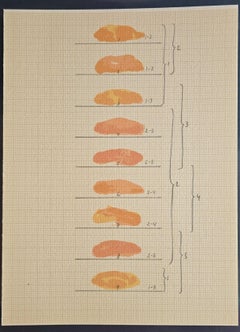 Composizione senza titolo (Poligrafa, Redfern, Catalano, Astrazione di paesaggio)