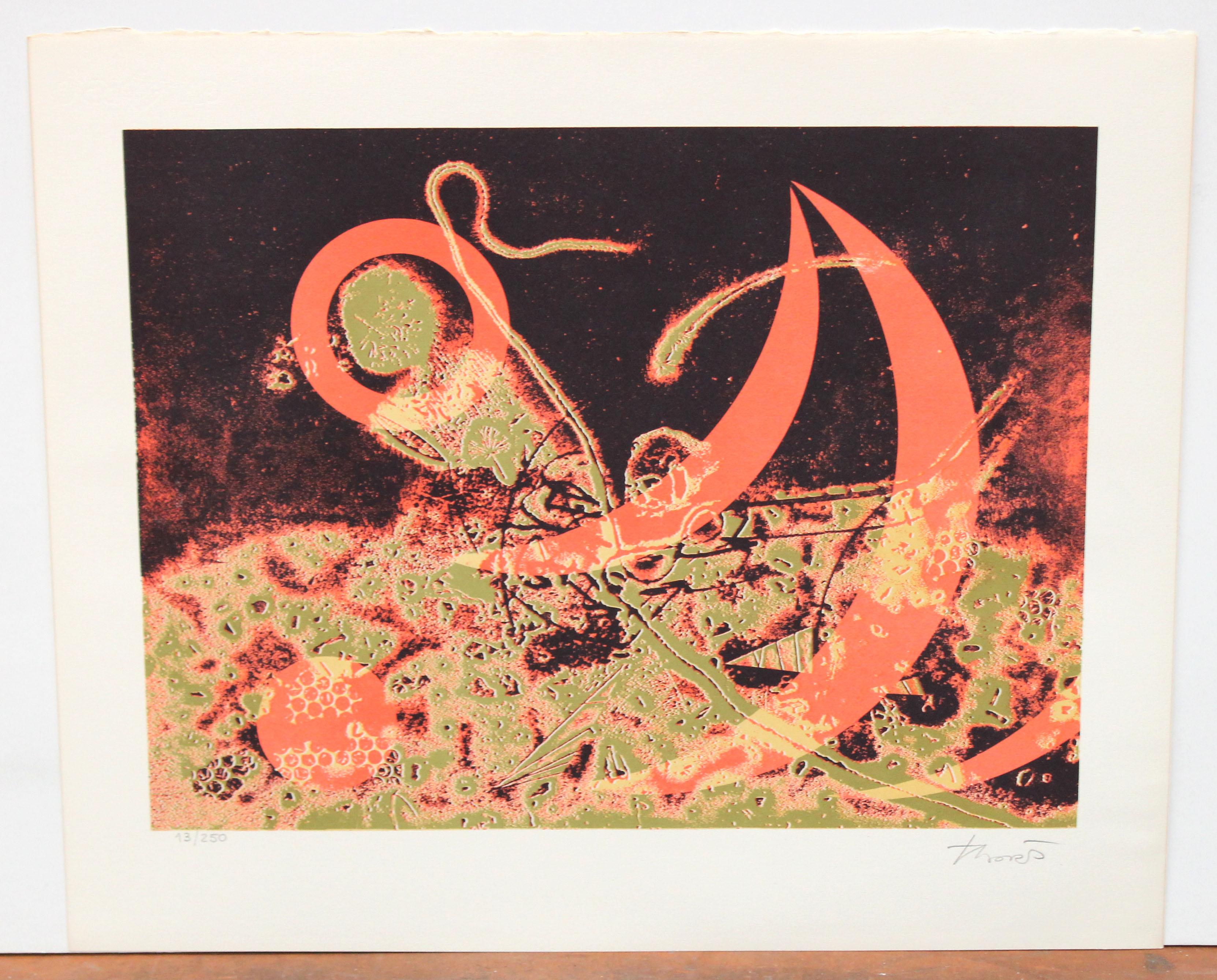 Litografia su carta - Ecos del universo - Tiraje: 13/250 - Print di Joan Josep Tharrats