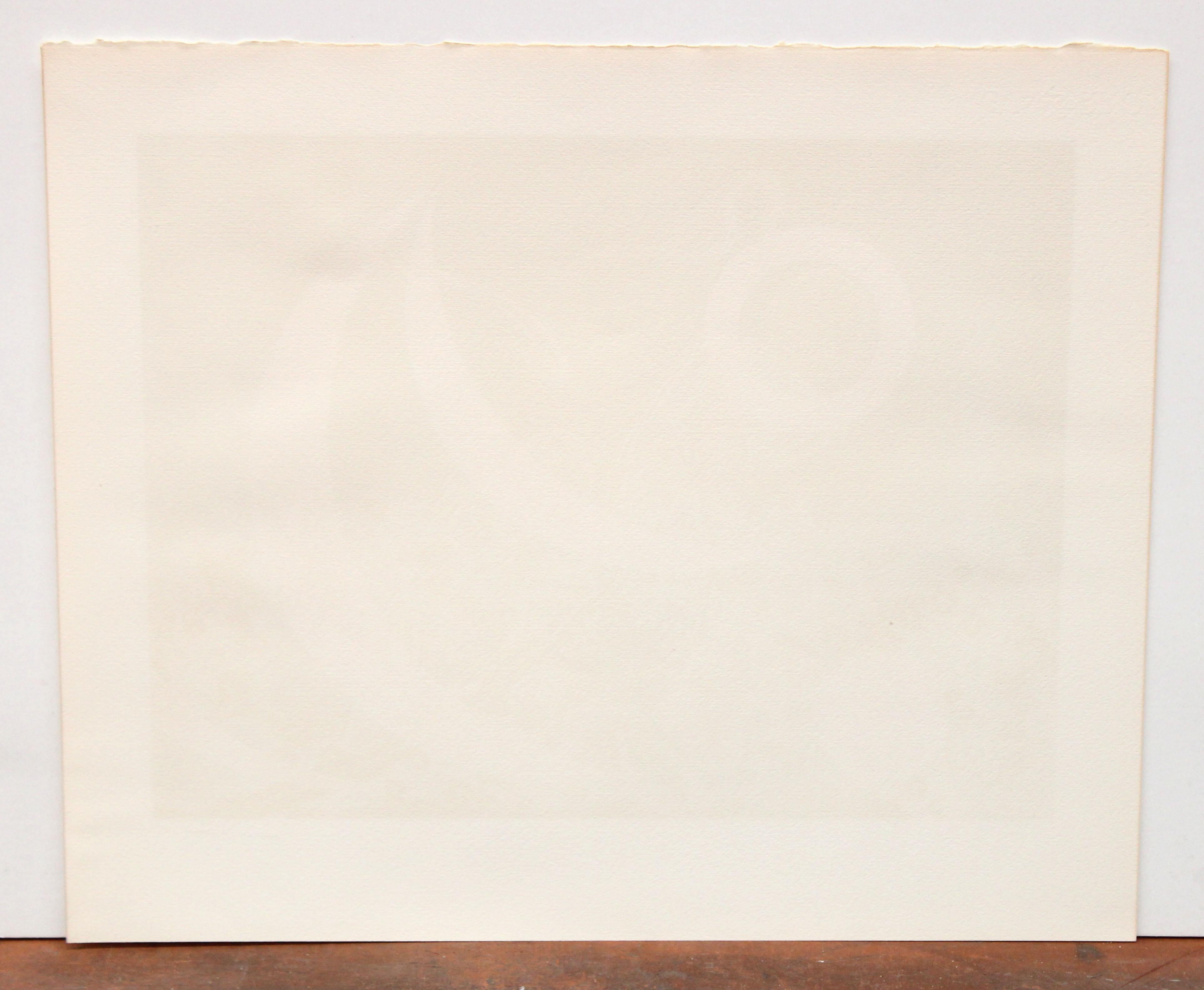Firmata a lápiz dall'artista nella parte inferiore e con tiraje 13/250

Lo stato di conservazione è buono

Sinned enmarcar

Medidas: 48 cm x 59 cm.