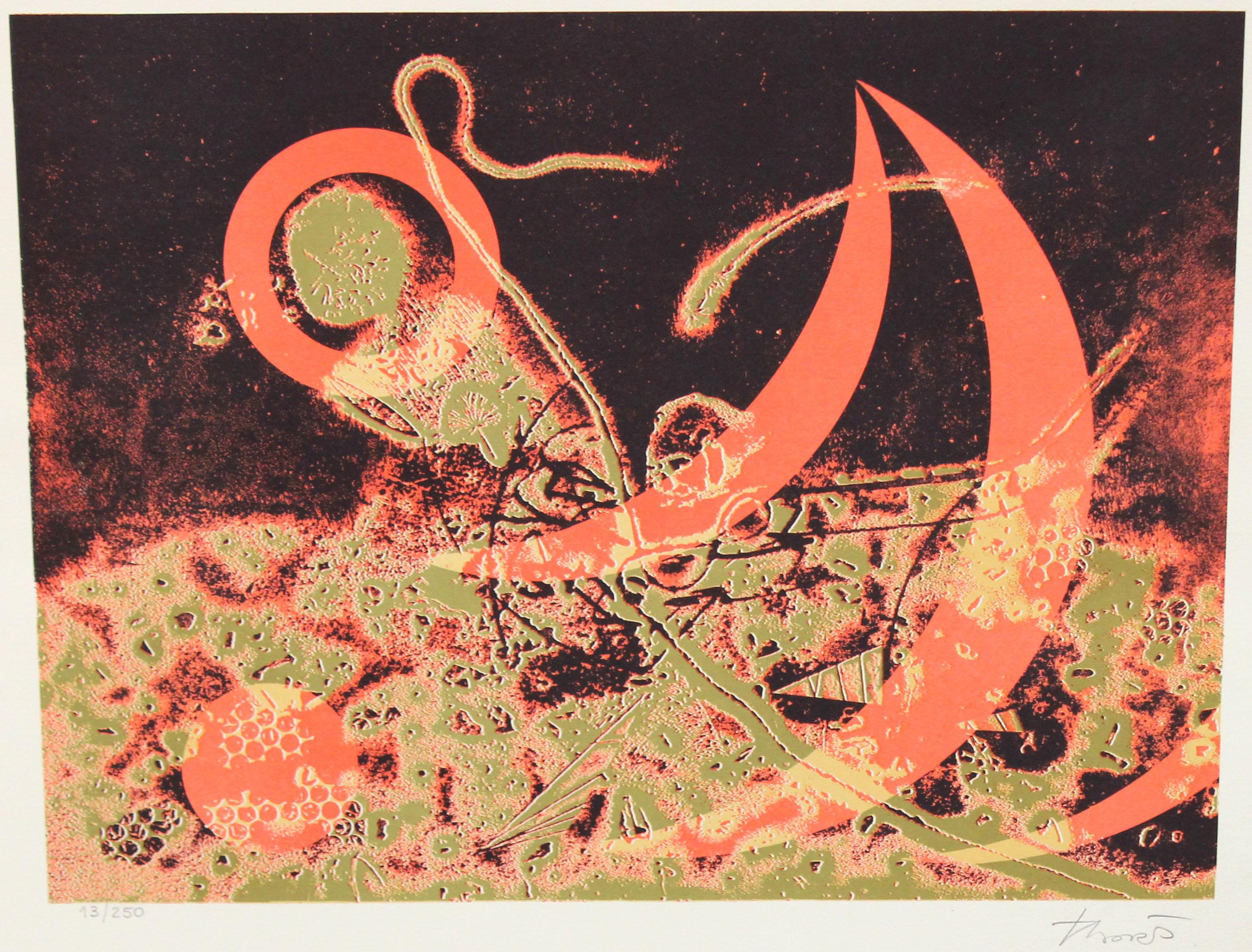 Litographie sur papier - Ecos del universo - Tiraje : 13/250