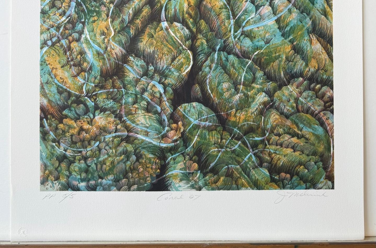 Coral 27 Aqua, Amarillo, Litografía Firmada, Naturaleza Abstracta, Arrecife de Coral, Océano en venta 2
