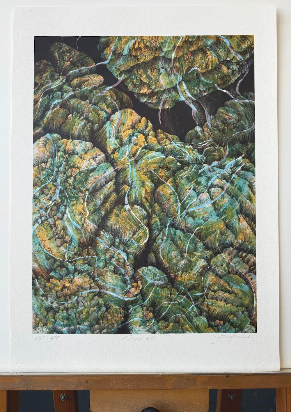 Coral 27 Aqua, Amarillo, Litografía Firmada, Naturaleza Abstracta, Arrecife de Coral, Océano en venta 3