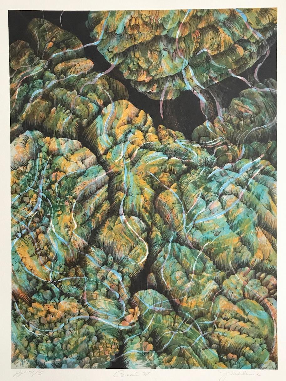 Koralle 27: Aqua, Gelb, signierte Lithographie, Abstrakte Natur, Korallenriff, Wasser – Print von Joan Melnick