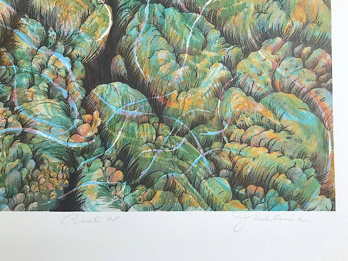 Koralle 27: Aqua, Gelb, signierte Lithographie, Abstrakte Natur, Korallenriff, Wasser (Grau), Abstract Print, von Joan Melnick