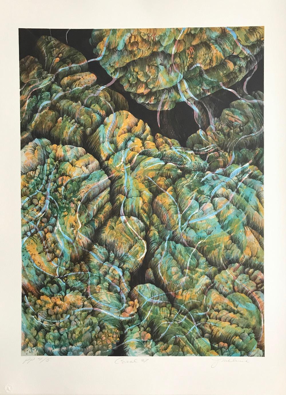 Coral 27 is an original hand drawn lithograph by the NY woman artist, Joan Melnick. Inspired by the fragile beauty of reefs with their exotic forms and vibrant colors, Coral 27 is an abstract composition comprised of subdued shades of aqua, light