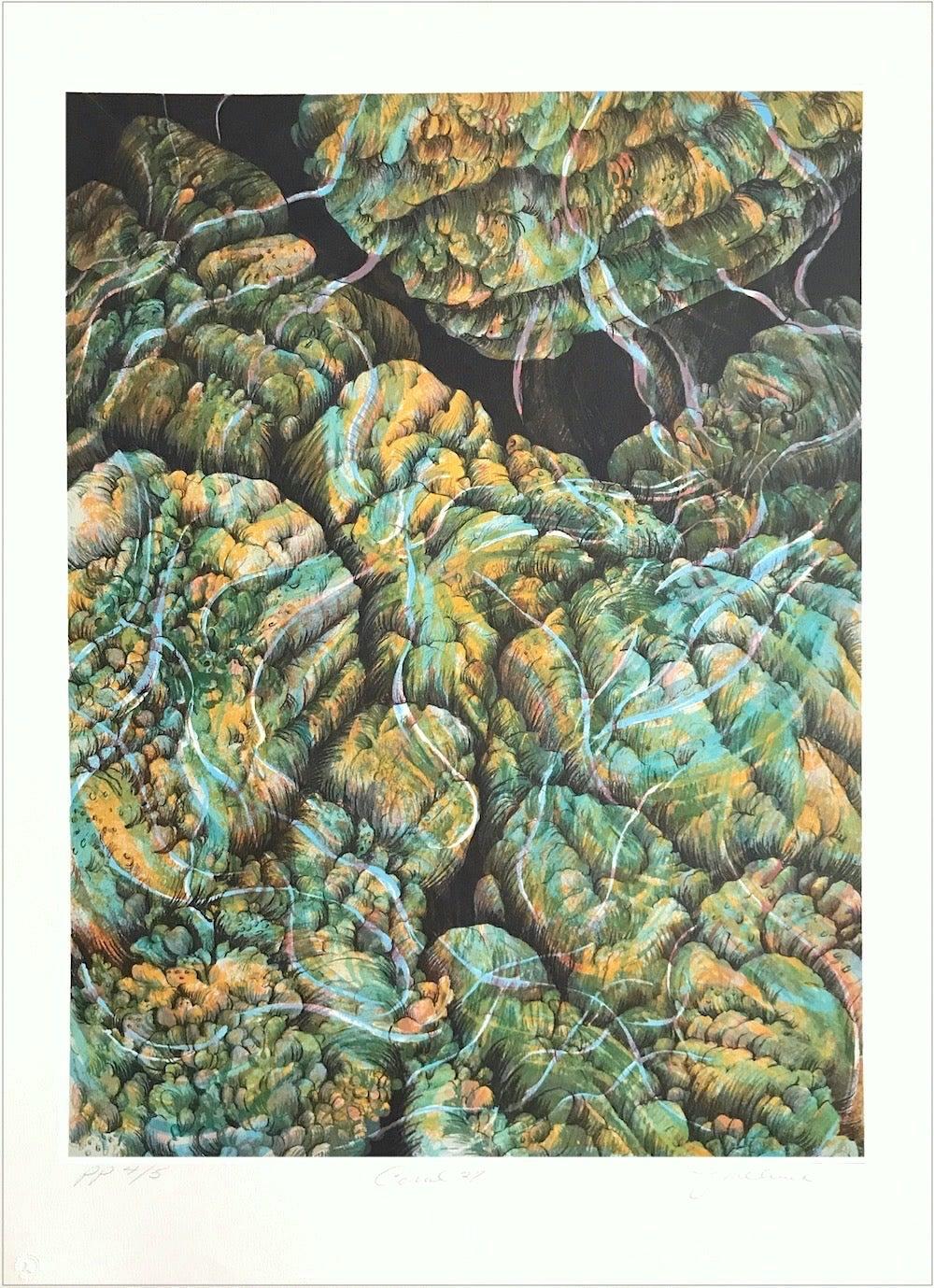 Joan Melnick Abstract Print - Coral 27: Aqua, Yellow, Signed Lithograph, Nature Abstract, Coral Reef, Water