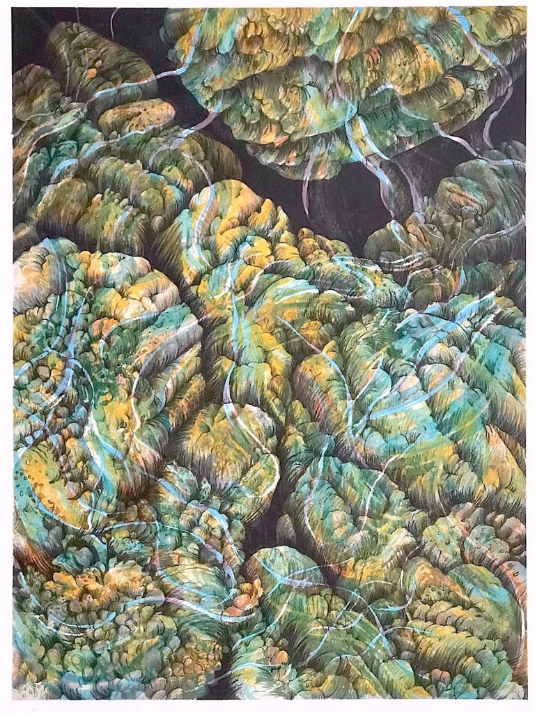 Joan Melnick - Coral 27 - Yellow, Original Lithograph ...