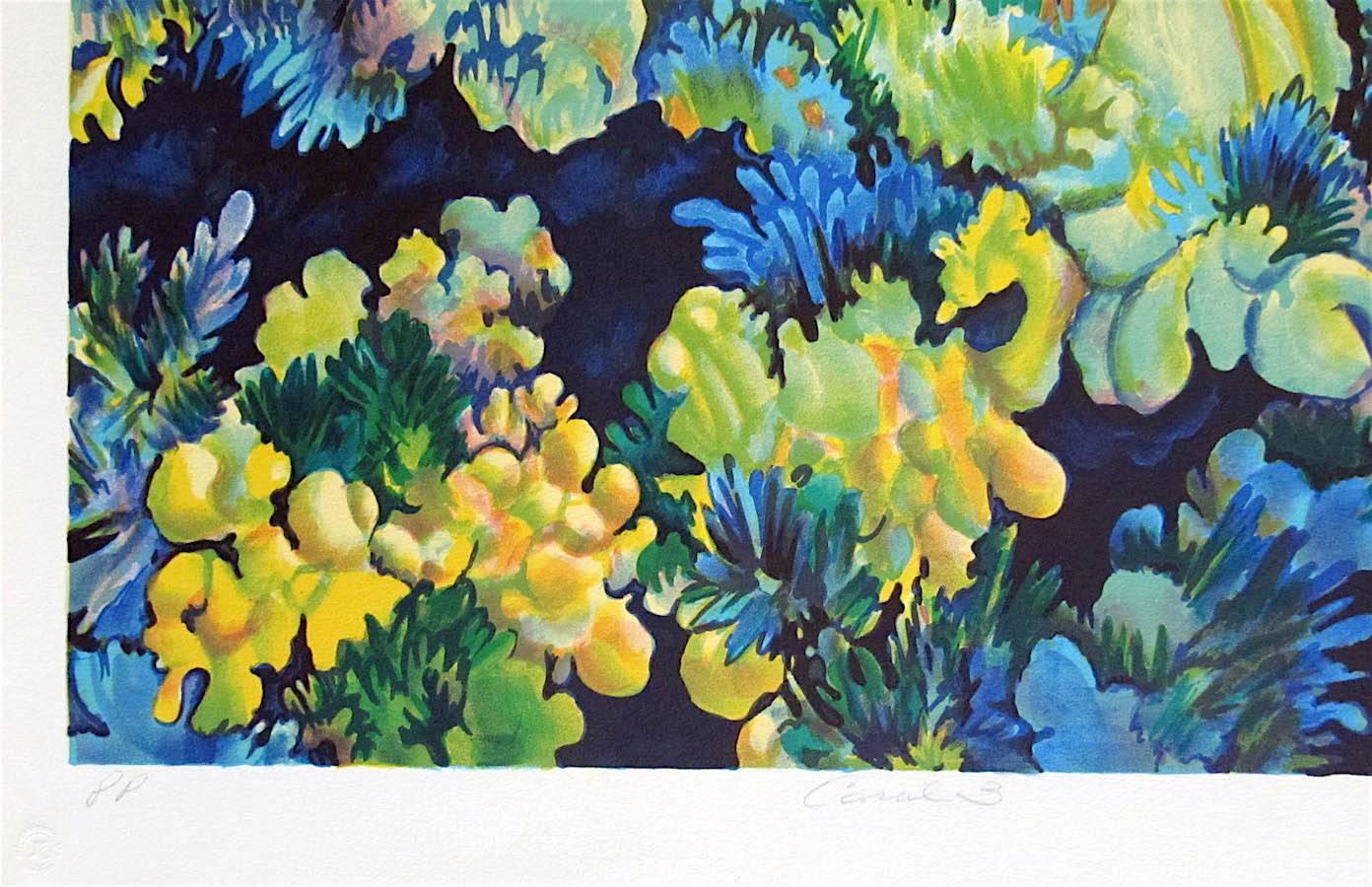 Coral 3 is an original hand drawn lithograph created in 1979 by the NY woman artist, Joan Melnick. Inspired by the fragile beauty of reefs with their exotic forms and vibrant colors, Coral 3 is an abstract composition comprised of deep shades of