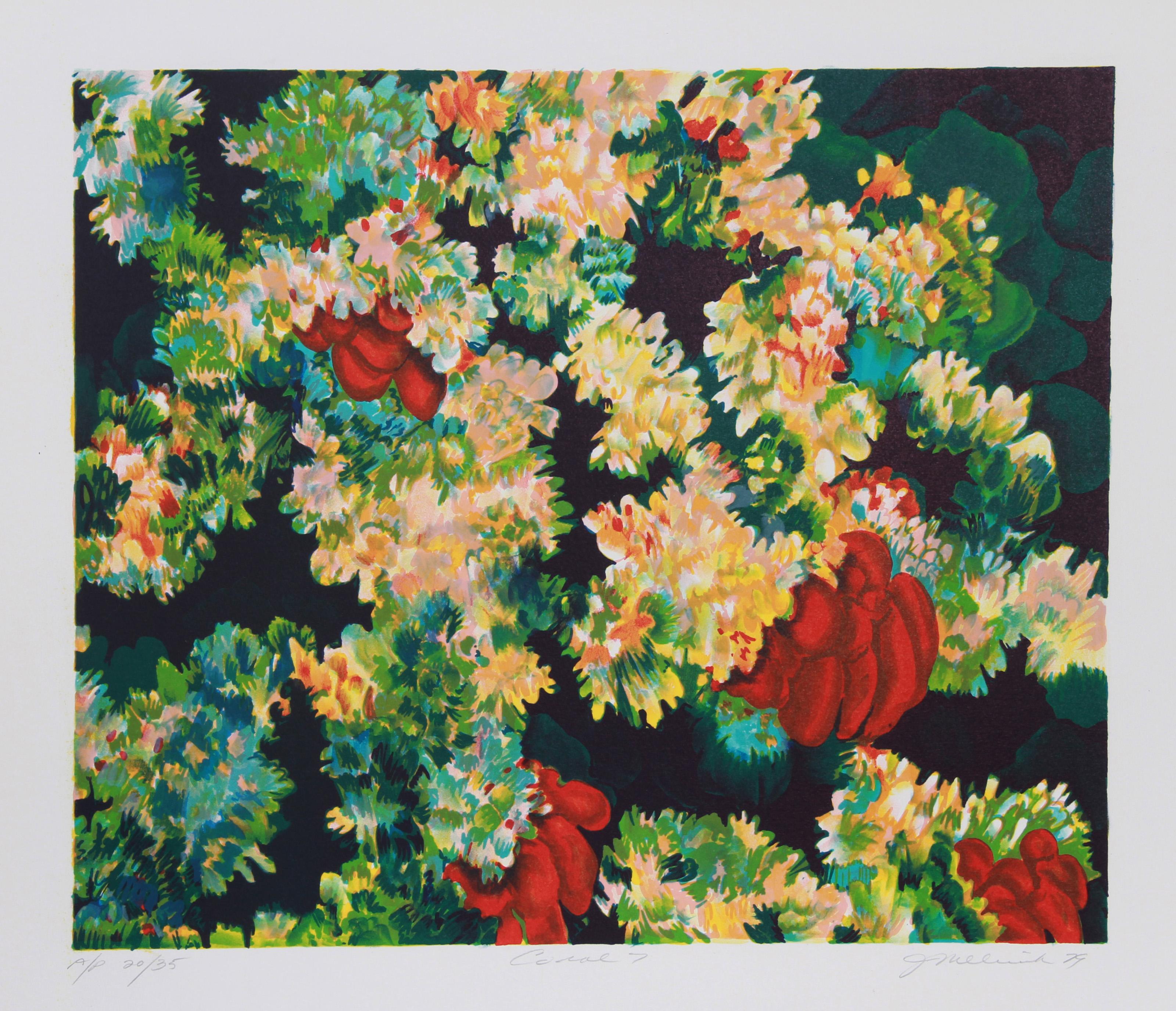 Joan Melnick, American (1942 - ) - Coral 7, Year:  1979, Medium:  Lithograph, signed and numbered in pencil, Edition:  300, AP 35, Image Size:  18 x 21.5 inches, Size:  21 in. x 29.5 in. (53.34 cm x 74.93 cm)