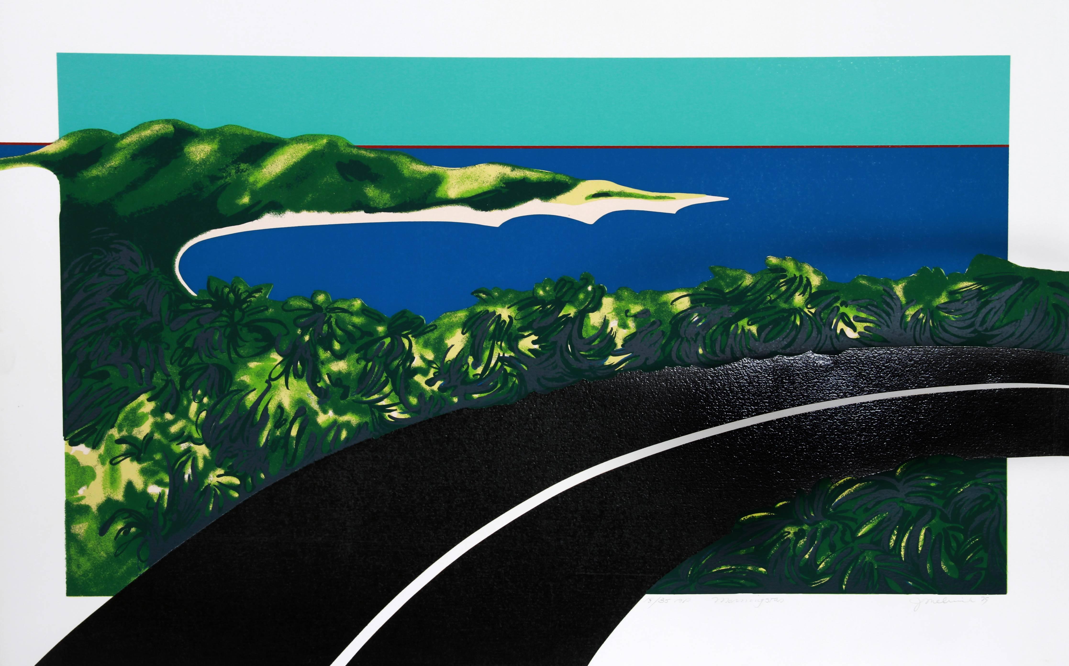 Artist: Joan Melnick, American (1942 - )
Title: Morning Star
Year: 1979
Medium:	Screenprint, signed and numbered in pencil
Edition: 300, AP 35
Paper Size: 25 x 40 in. (63.5 x 101.6 cm)