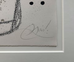 Maravillas con Variaciones Acrosticas en el Jardin de Miro