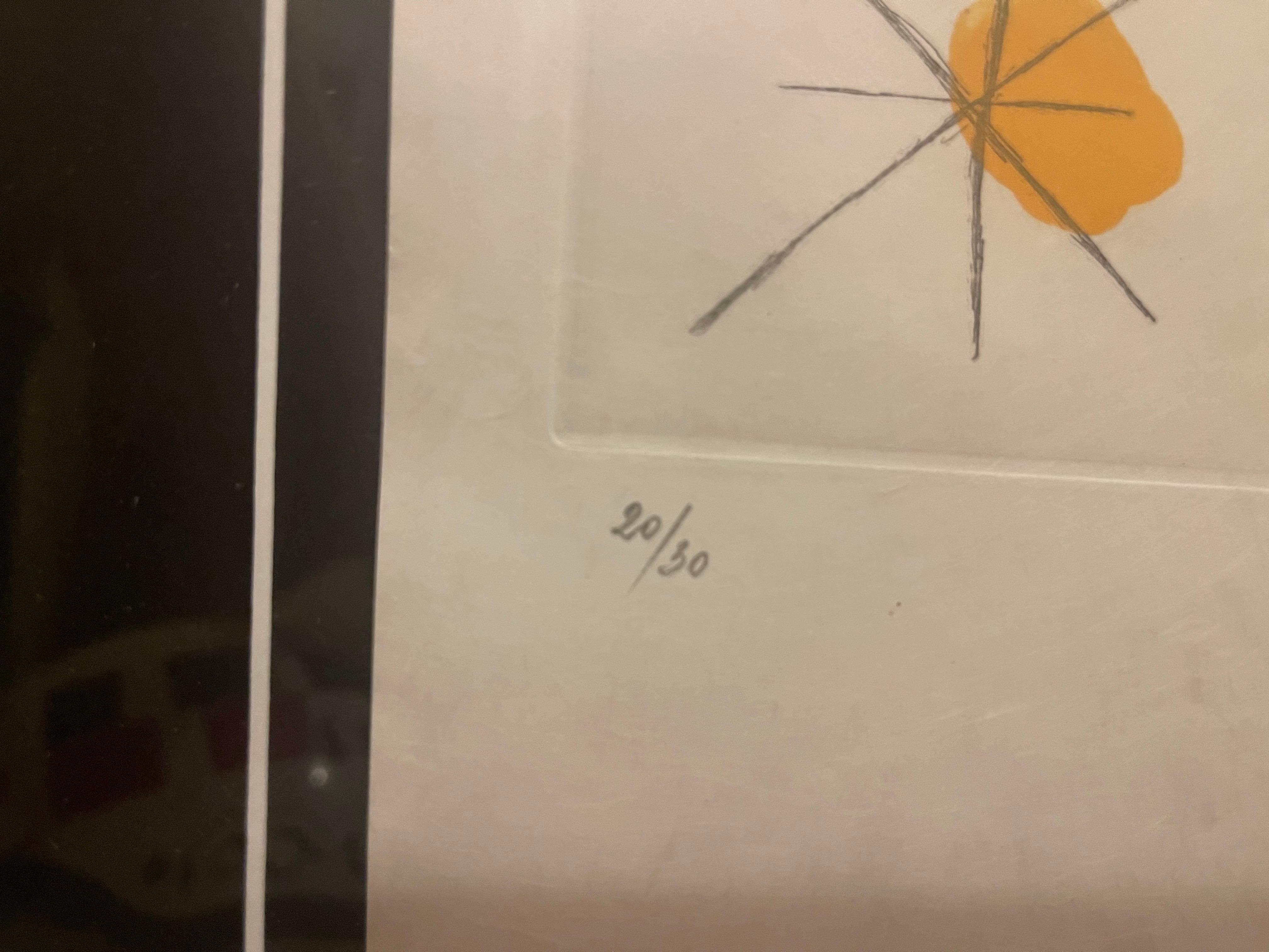 L'œuvre en question fait partie d'une série de 30 impressions sur papier japonais.
Explication :
Série de 30 sur papier japonais :
Le terme 