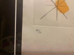 Joan Miro etching aquatint series of 30 on Japanese Paper , 1969