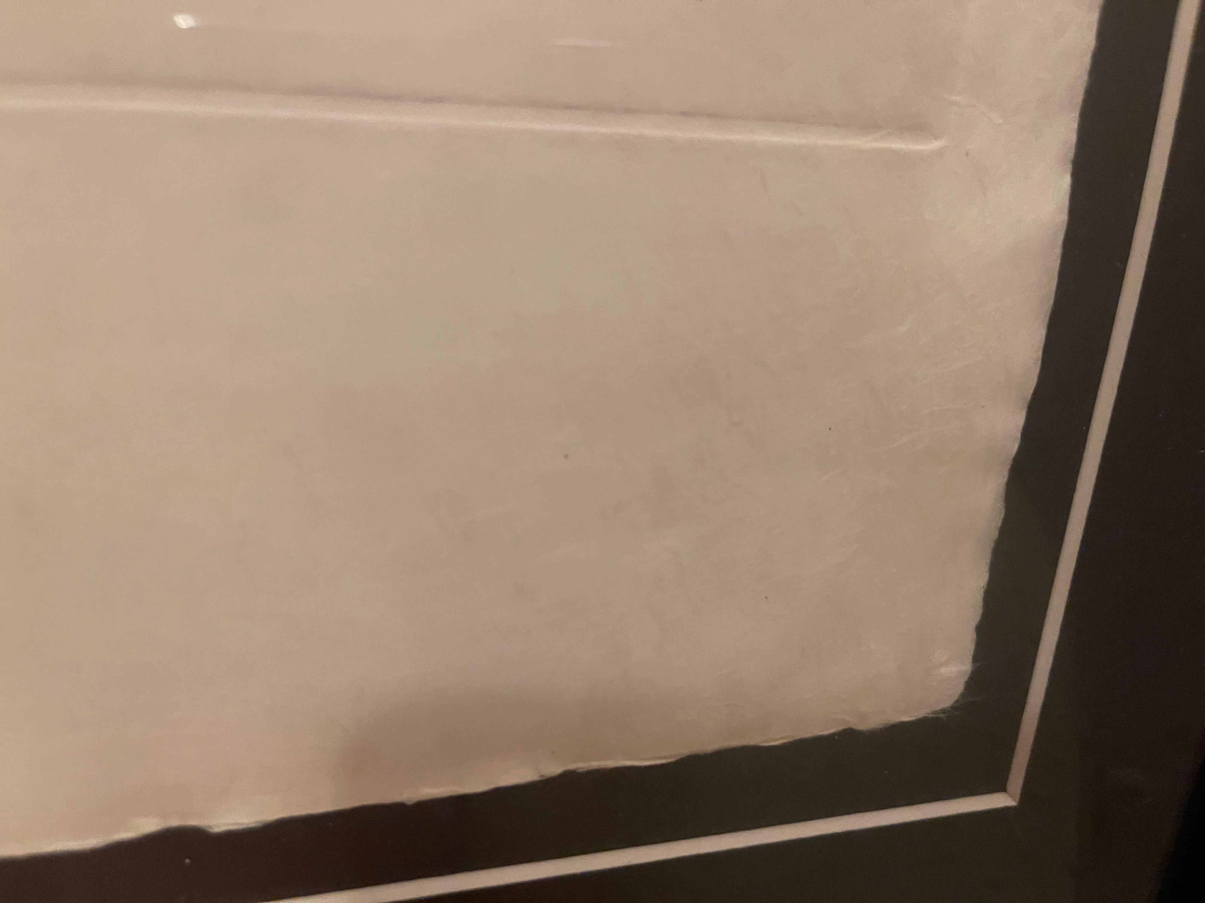Joan Miro gravure aquatinte série de 30 sur papier japonais , 1969 Excellent état - En vente à La xara, VC