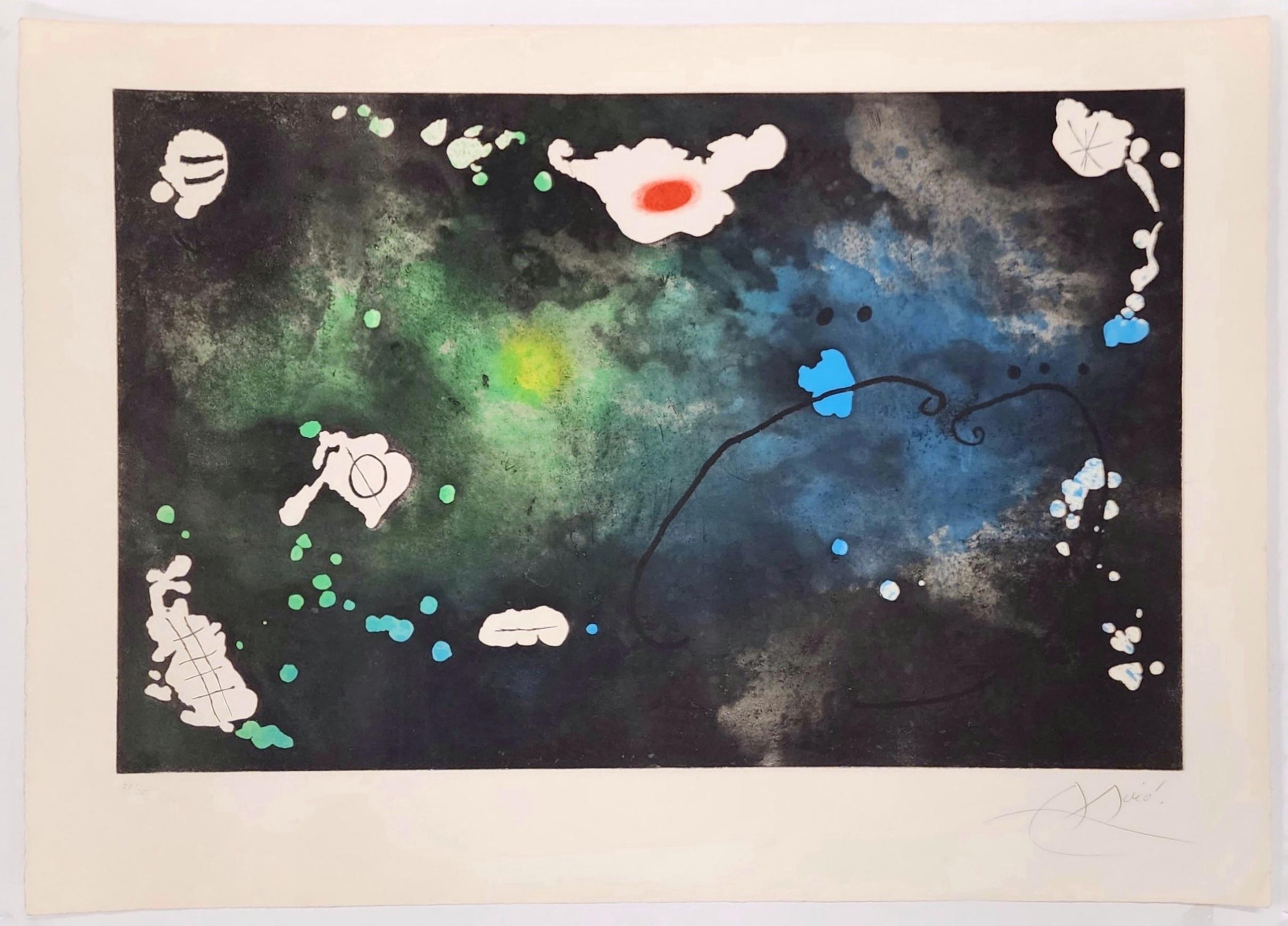 Print Joan Miró - Archipel Sauvage IV