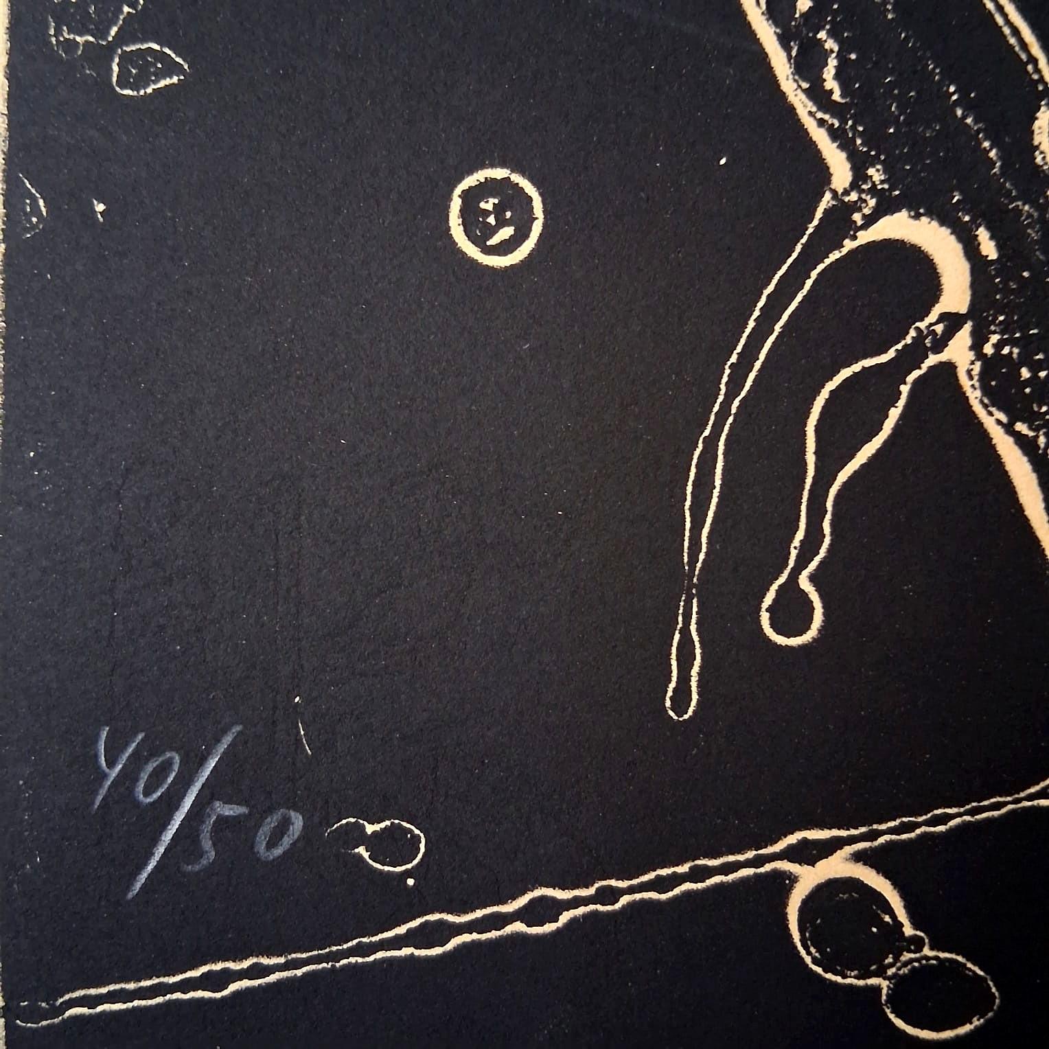 Radierung, Aquatinta und Karborundum auf Guarro Vellum, 1973
Vom Künstler mit Bleistift signiert und nummeriert 40/50
Herausgeber : Sala Gaspar éditeur (Barcelona)
Drucker: J. J. Torralba (Barcelona)
Katalog : [Dupin 598]
104.00 cm. x 70.50 cm. 