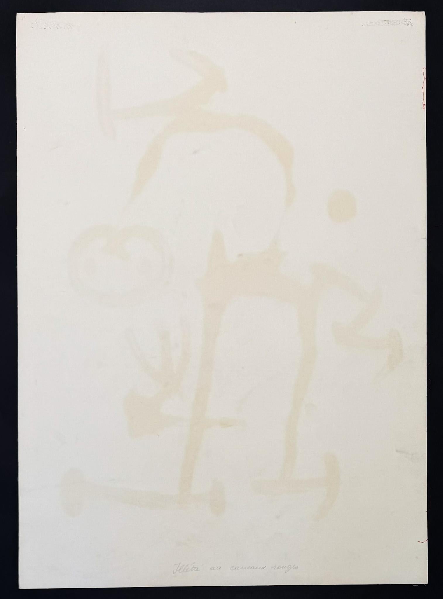 Joan Miró (1893–1983) - El analfabeto de los cuadros rojos - Color lithograph For Sale 6