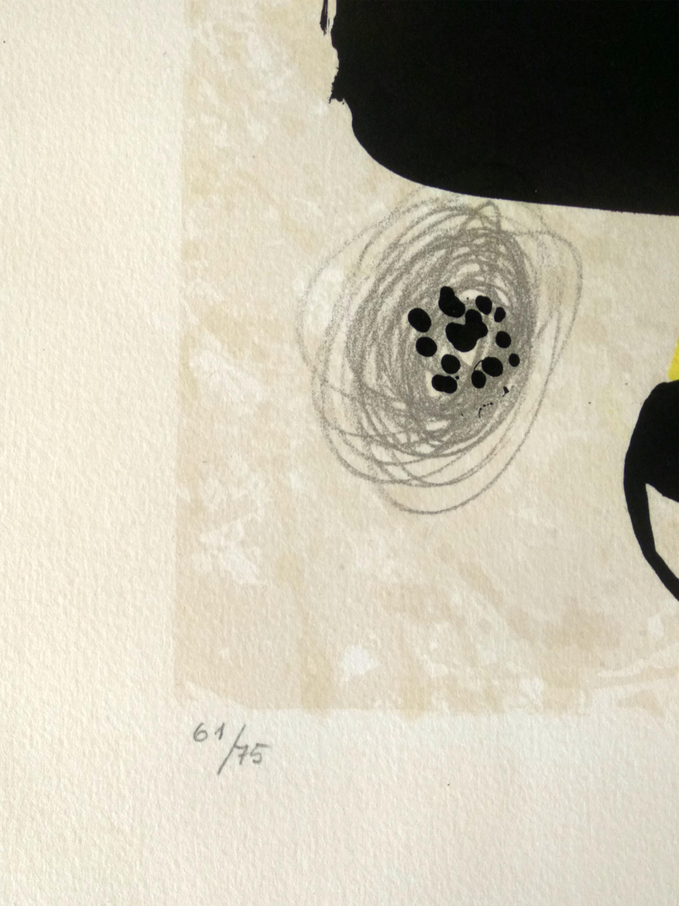 Joan Miró - 