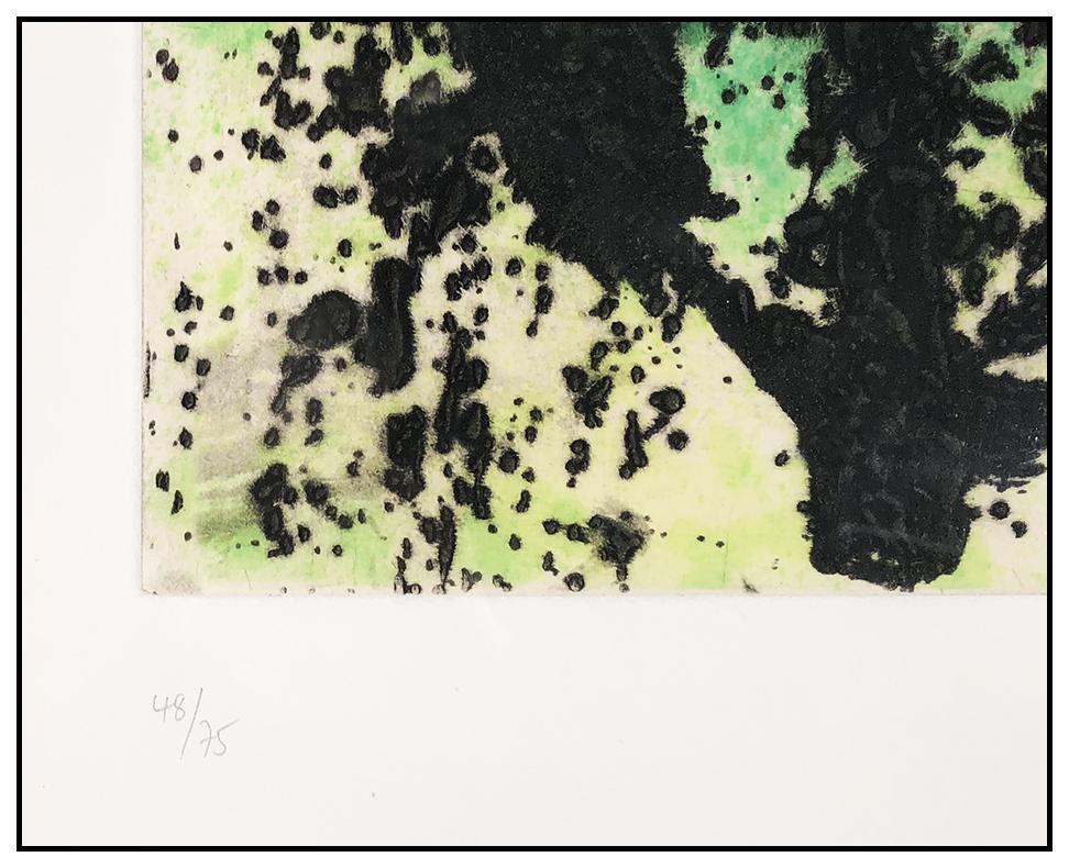 Joan Miro Original Aquatint Carborundum Regne Vegetal Hand Signed Abstract Art - Beige Abstract Print by Joan Miró