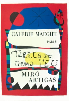 Joan Miro-Terres De Grand Feu-29.25" x 20.75"-Lithograph-1956-Surrealism
