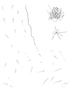 Journal D'Un Graveur - Vol. 2 Plate 14 - Original Etching and Drypoint
