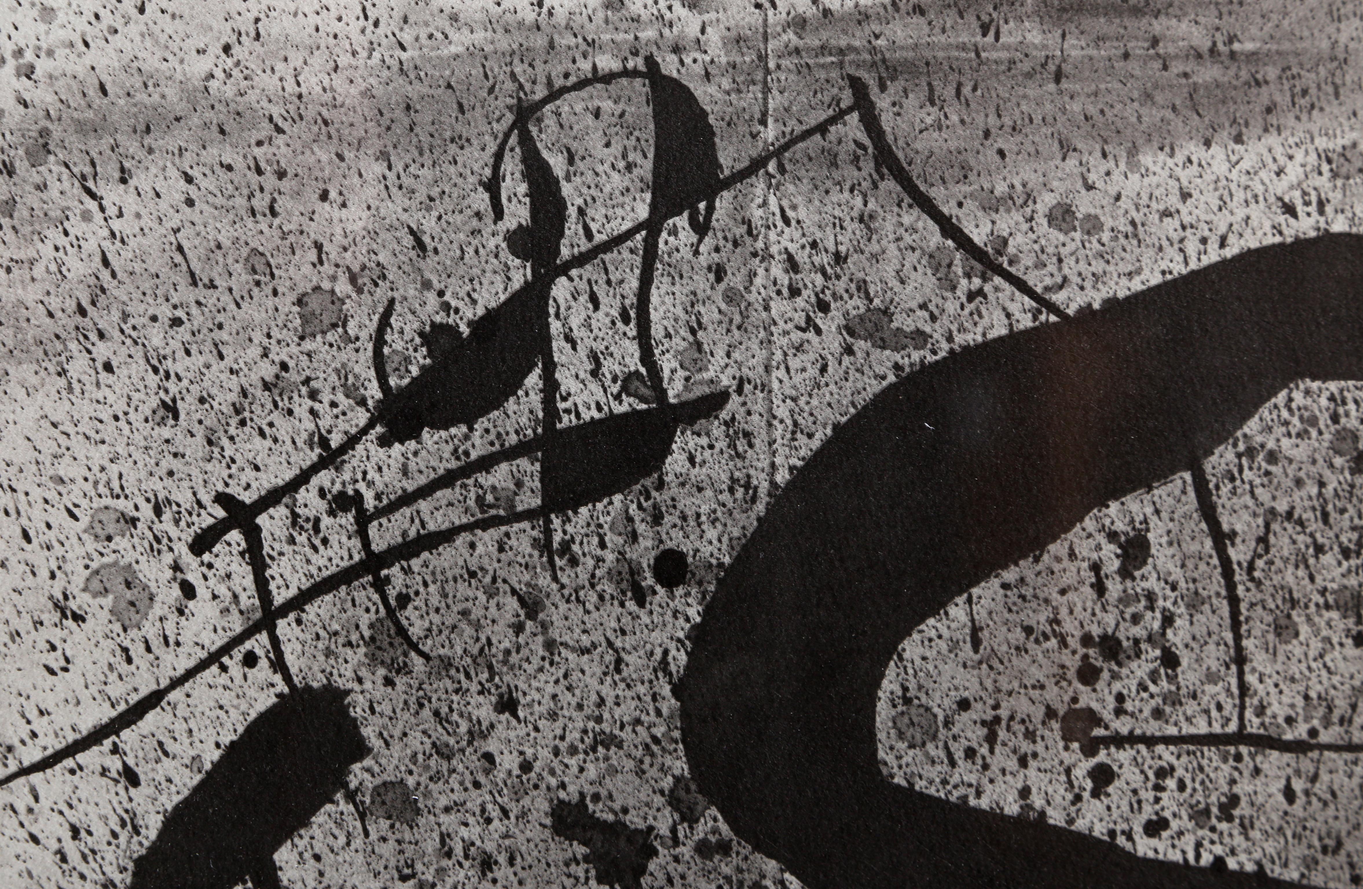 Les Essencies de la Tierra, Lithograph by Joan Miró 1968 2