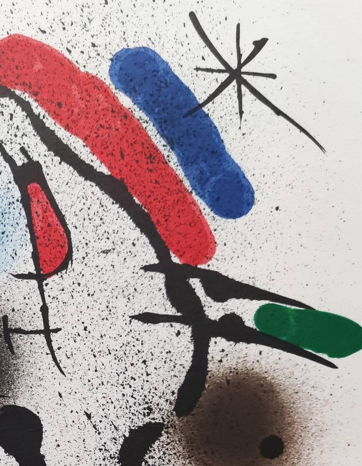 Litografia originale VI - Print Surrealismo di Joan Miró