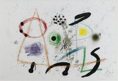 Maravillas con variaciones acrósticas en el jardín de Miró, 1975, (VI/XV)