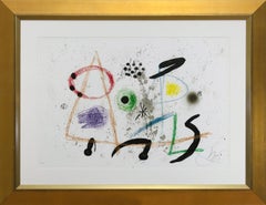 Maravillas con variaciones acrósticas en el jardín de Miró, 1975, (VI/XV)
