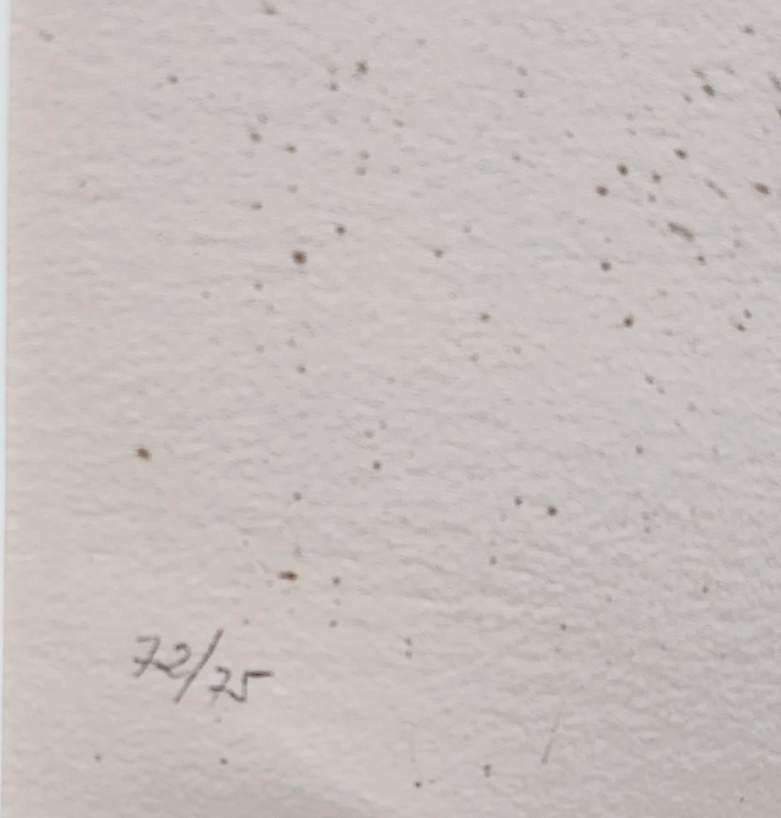 Maravillas Con Variaciones Acrósticas En El Jardín De Miró, 1975 (M. 1055) 1