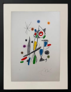 Maravillas con variaciones acrósticas En El Jardín de Miró