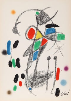 Maravillas con Variaciones Acrosticas en el Jardin de Miro (Number 20)