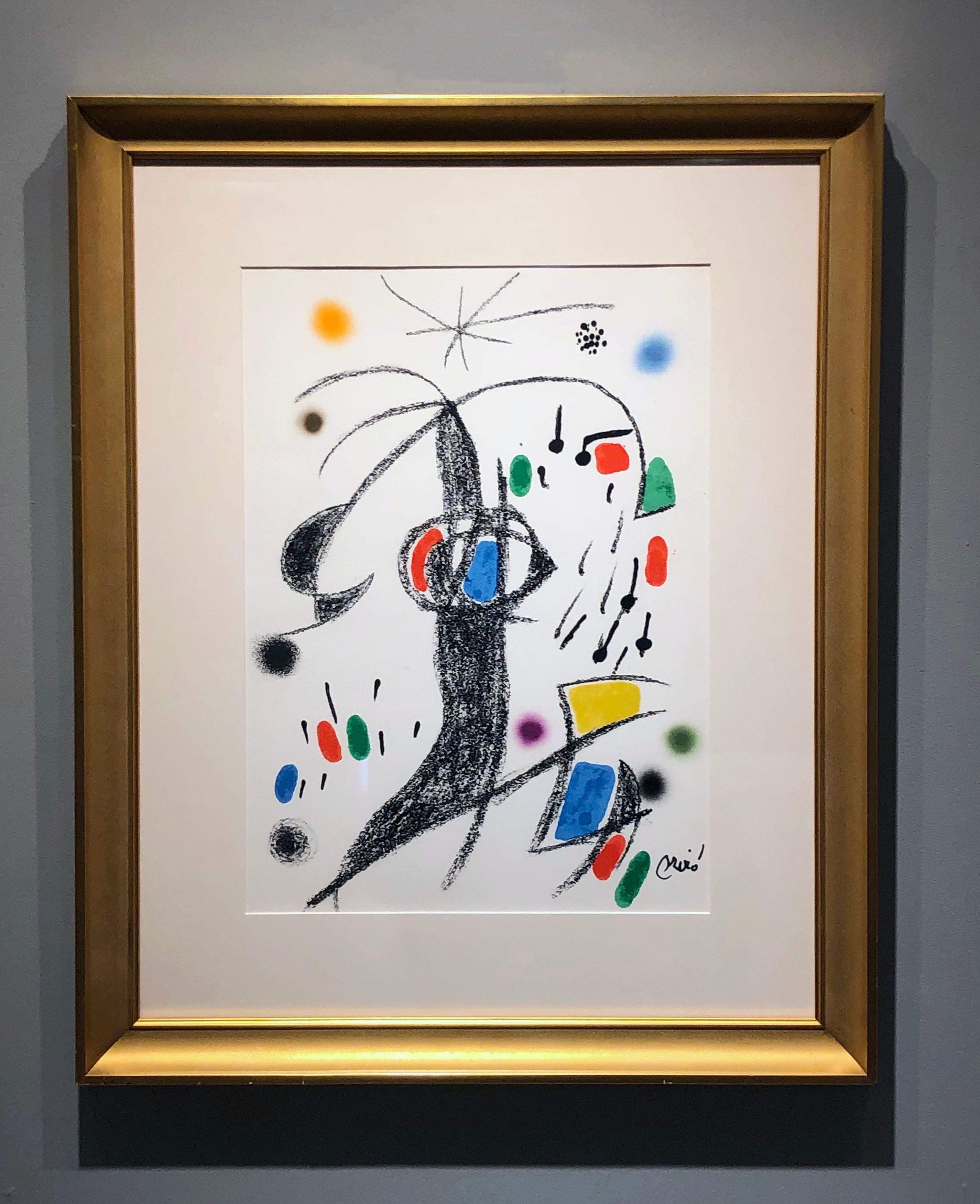 joan miro el jardin